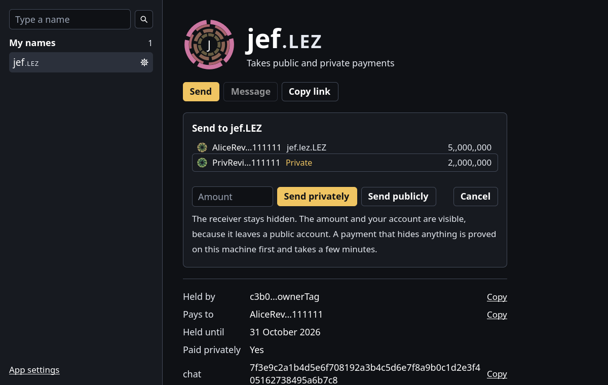 The send/pay panel
